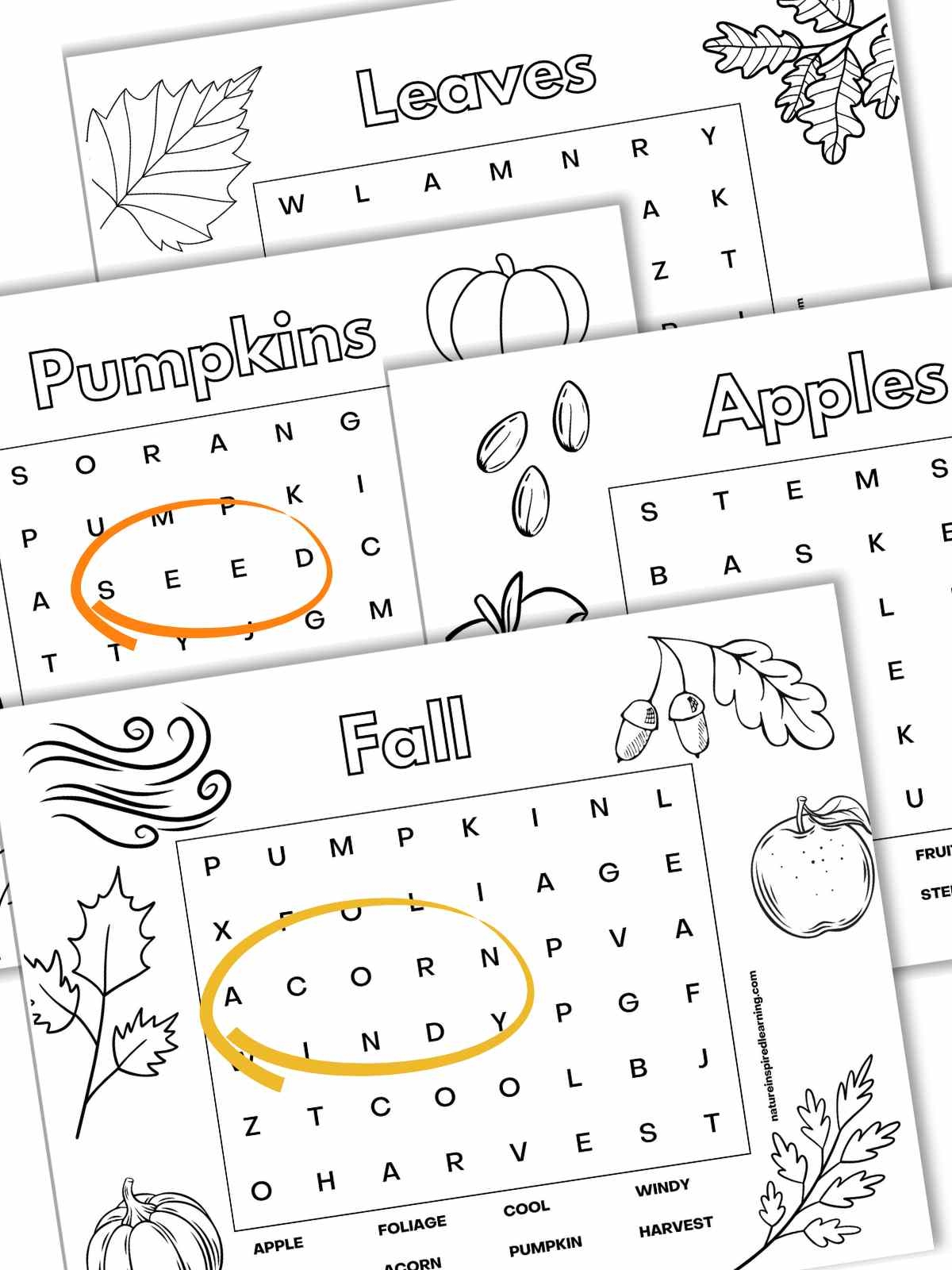 5 easy fall word searches nature inspired learning