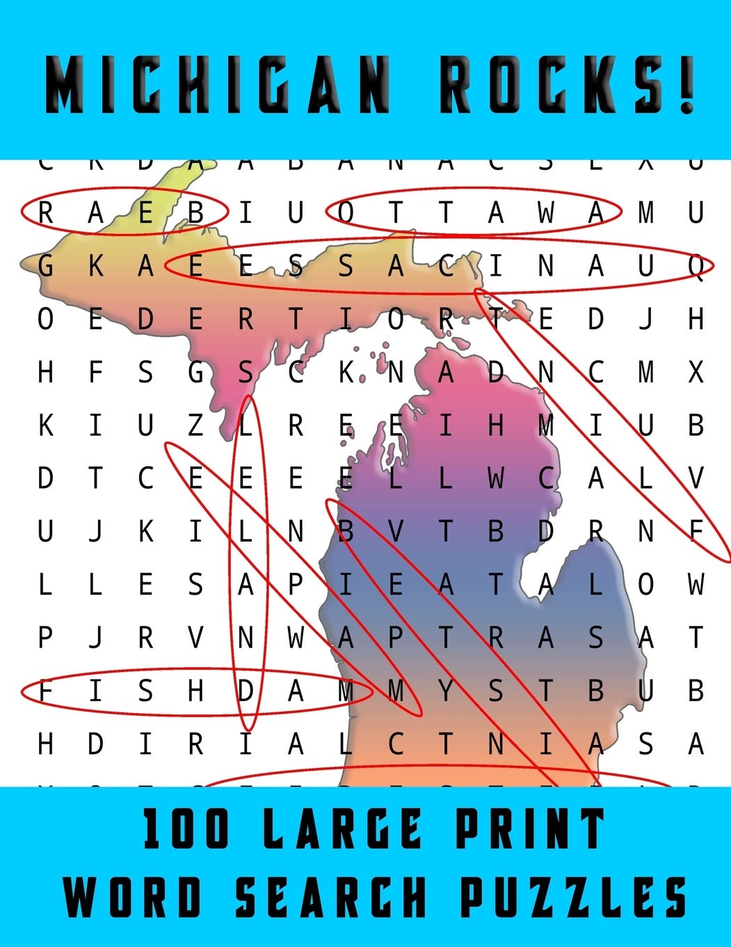 Amazon Michigan Rocks Large Print Word Searches Related To The Great Lakes State 9781099476402 Fanatic Puzzle Books