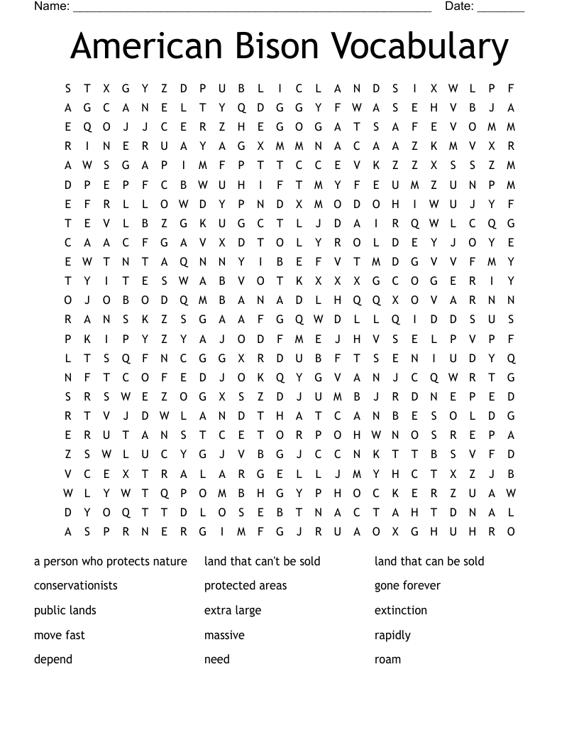 American Bison Vocabulary Word Search WordMint American Bison Vocabulary Word Search WordMint