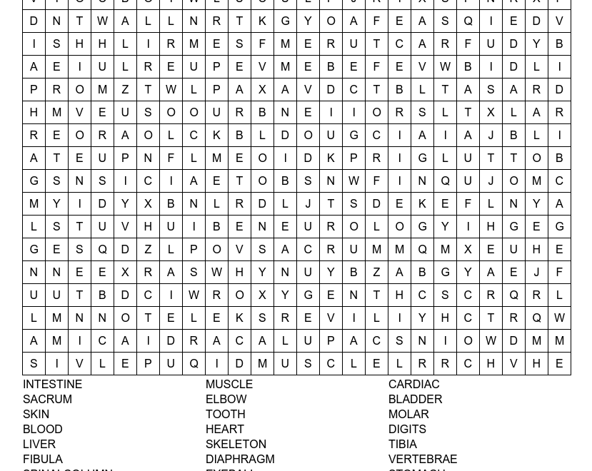 AnatomicalMuseum On X Do You Like Anatomy Do You Like Word Searches If The Answer Is Yes To Both We Hope You Enjoy Our Very First Anatomy Word Search Weekend Challenge FridayFun