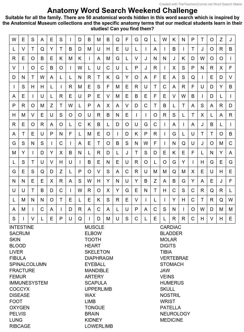 AnatomicalMuseum On X Do You Like Anatomy Do You Like Word Searches If The Answer Is Yes To Both We Hope You Enjoy Our Very First Anatomy Word Search Weekend Challenge FridayFun