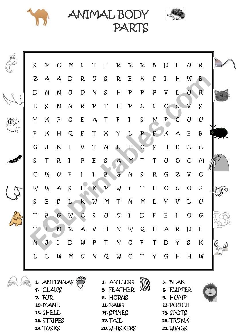 Body Parts Worksheet Esl Word Search Free Printable