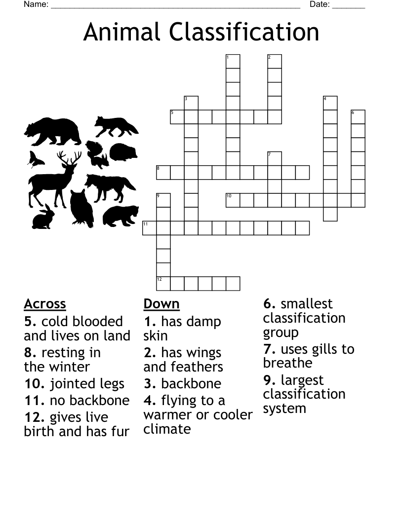 Animal Classification Crossword WordMint