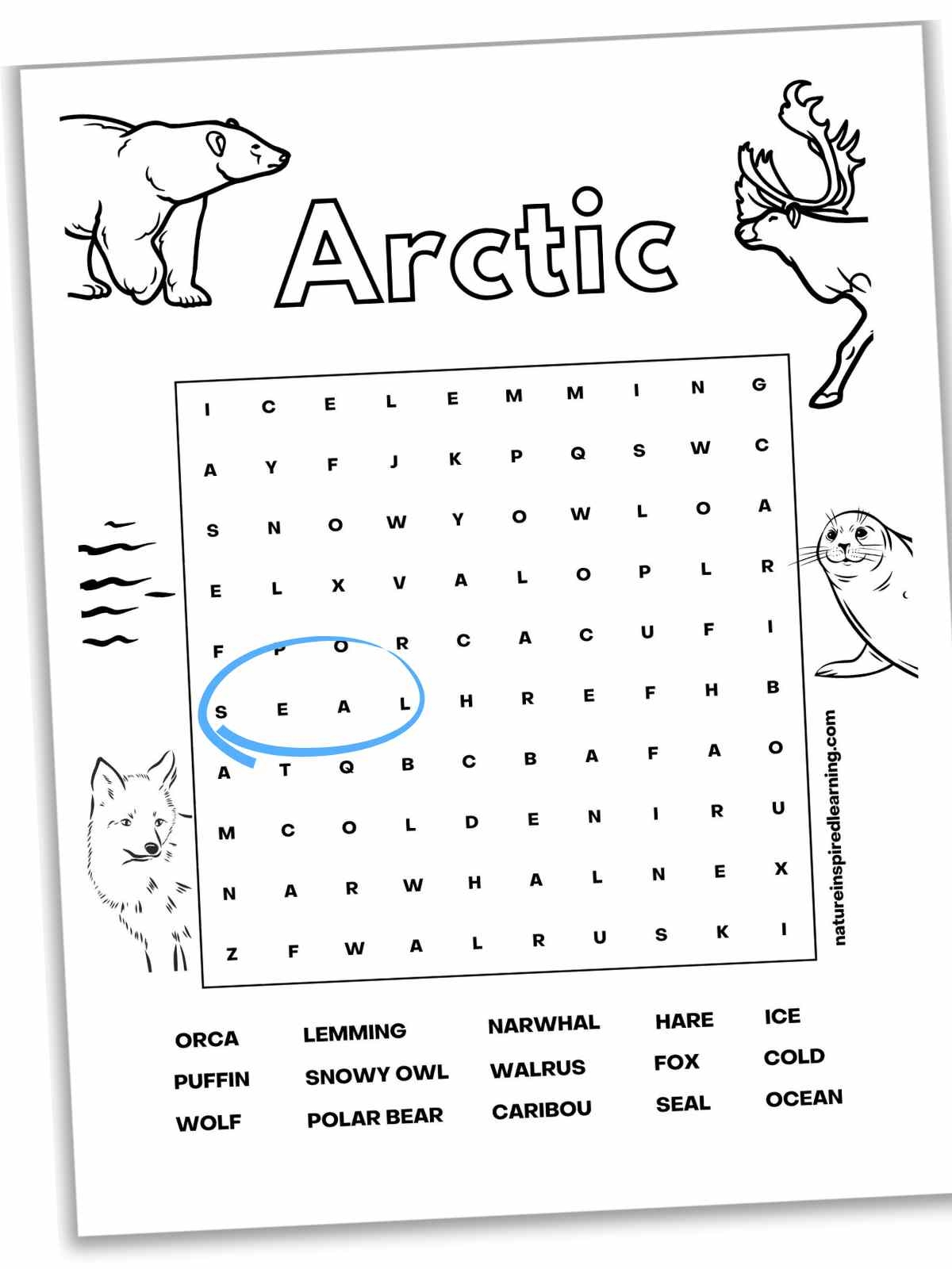Animal Hard Word Search Printable