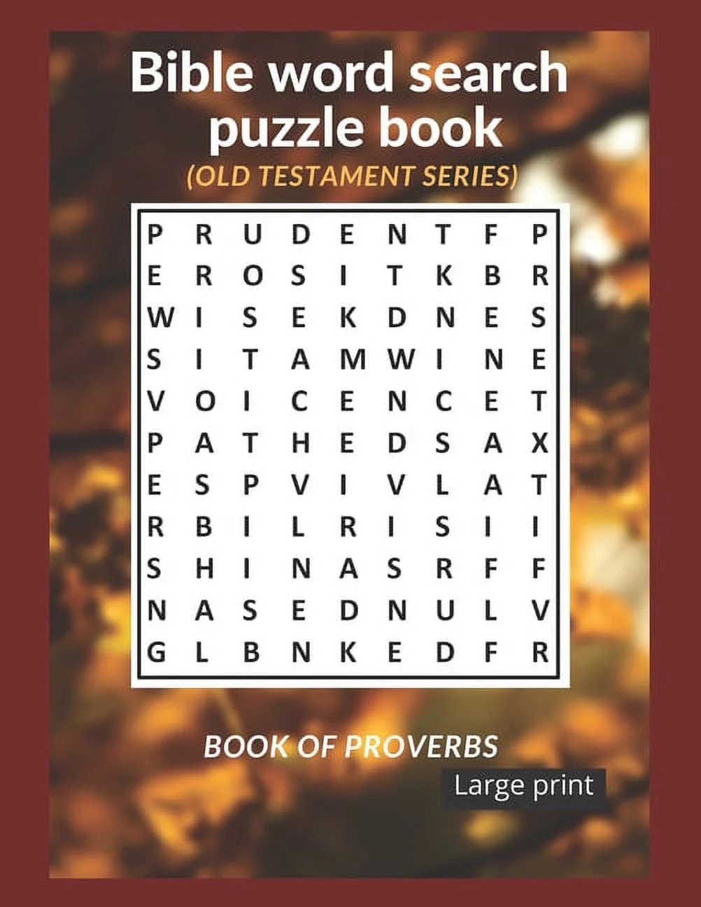 Bible Word Search Puzzle Book Old Testament Edition Book Of Proverbs Large Print Paperback Large Print Walmart