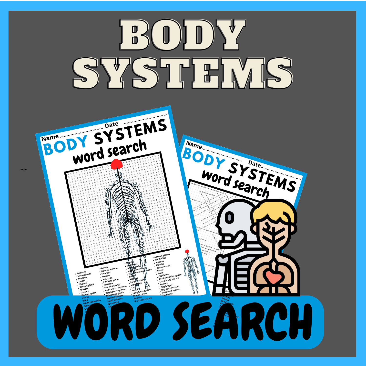 BODY SYSTEMS WORD SEARCH Puzzle Middle School Fun Activity Vocabulary Worksheet Made By Teachers
