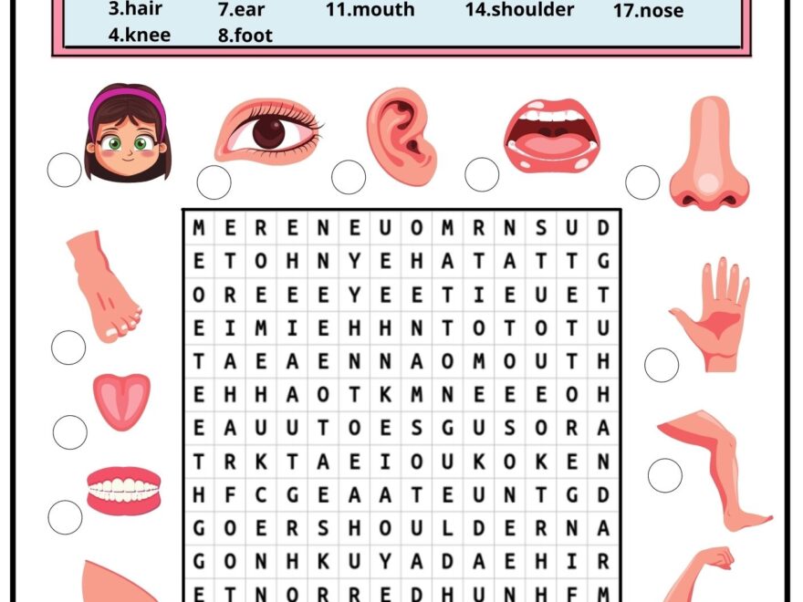 Body Word Search 2 Ezpzlearn