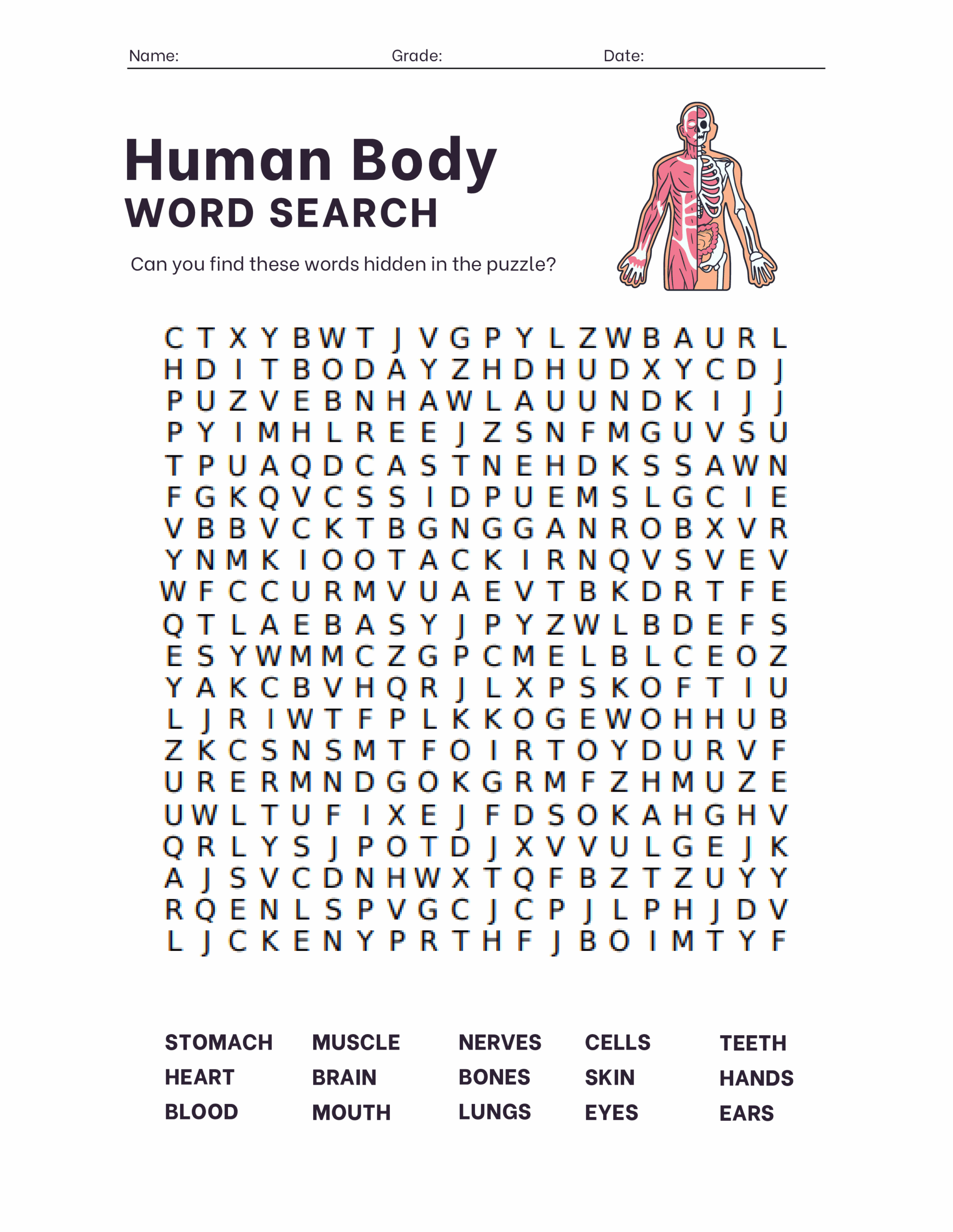 Body Word Search Education World