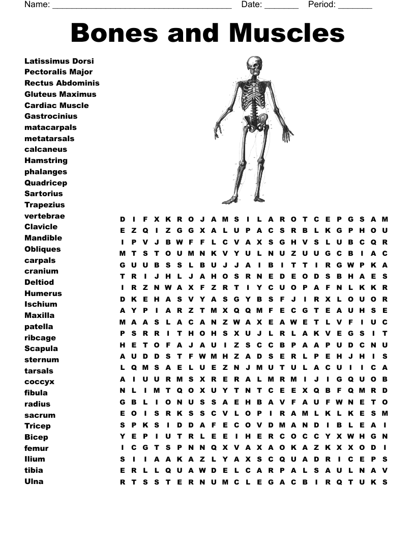 Muscles Word Search Printable