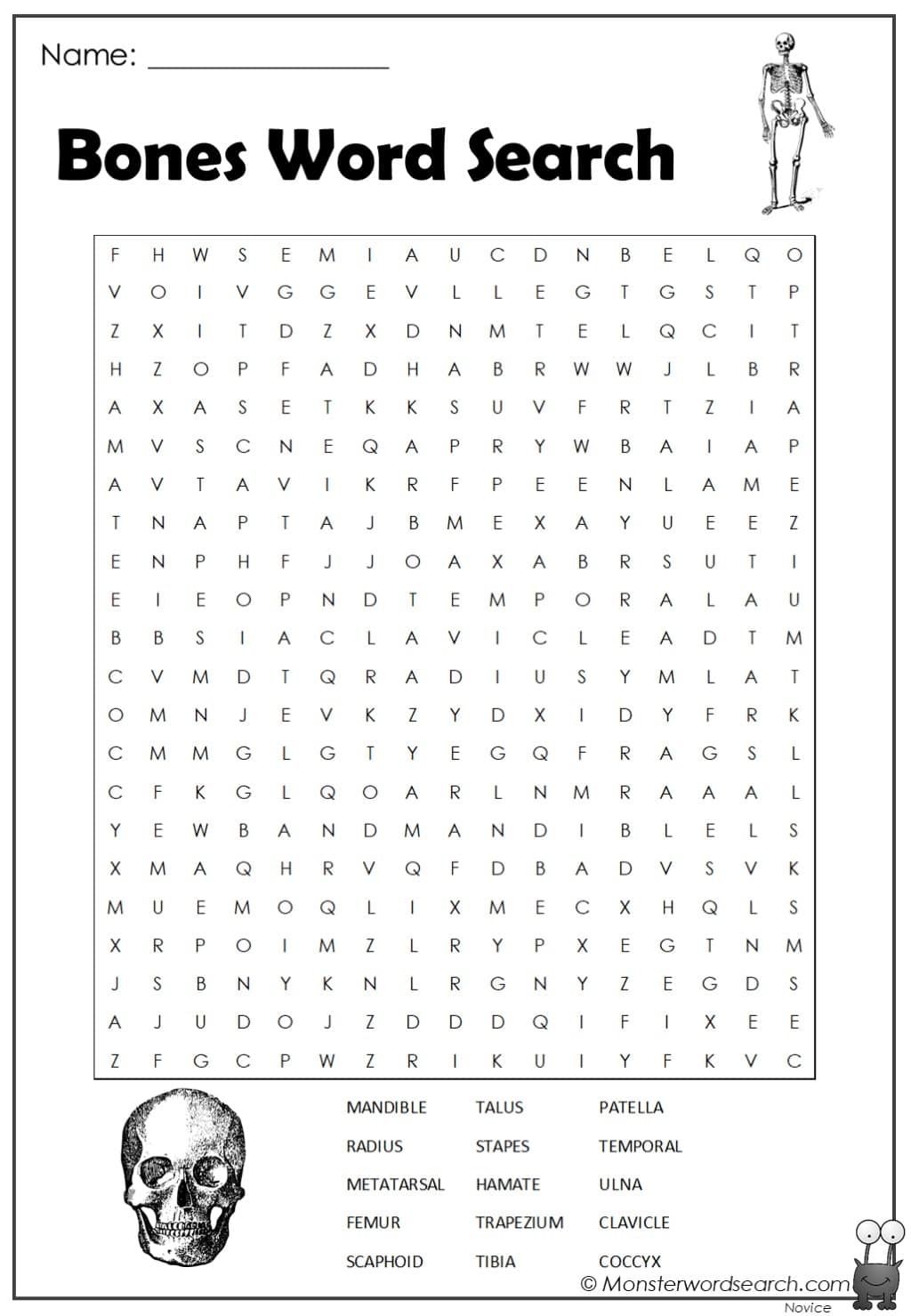 Skeletal System Word Search Printable