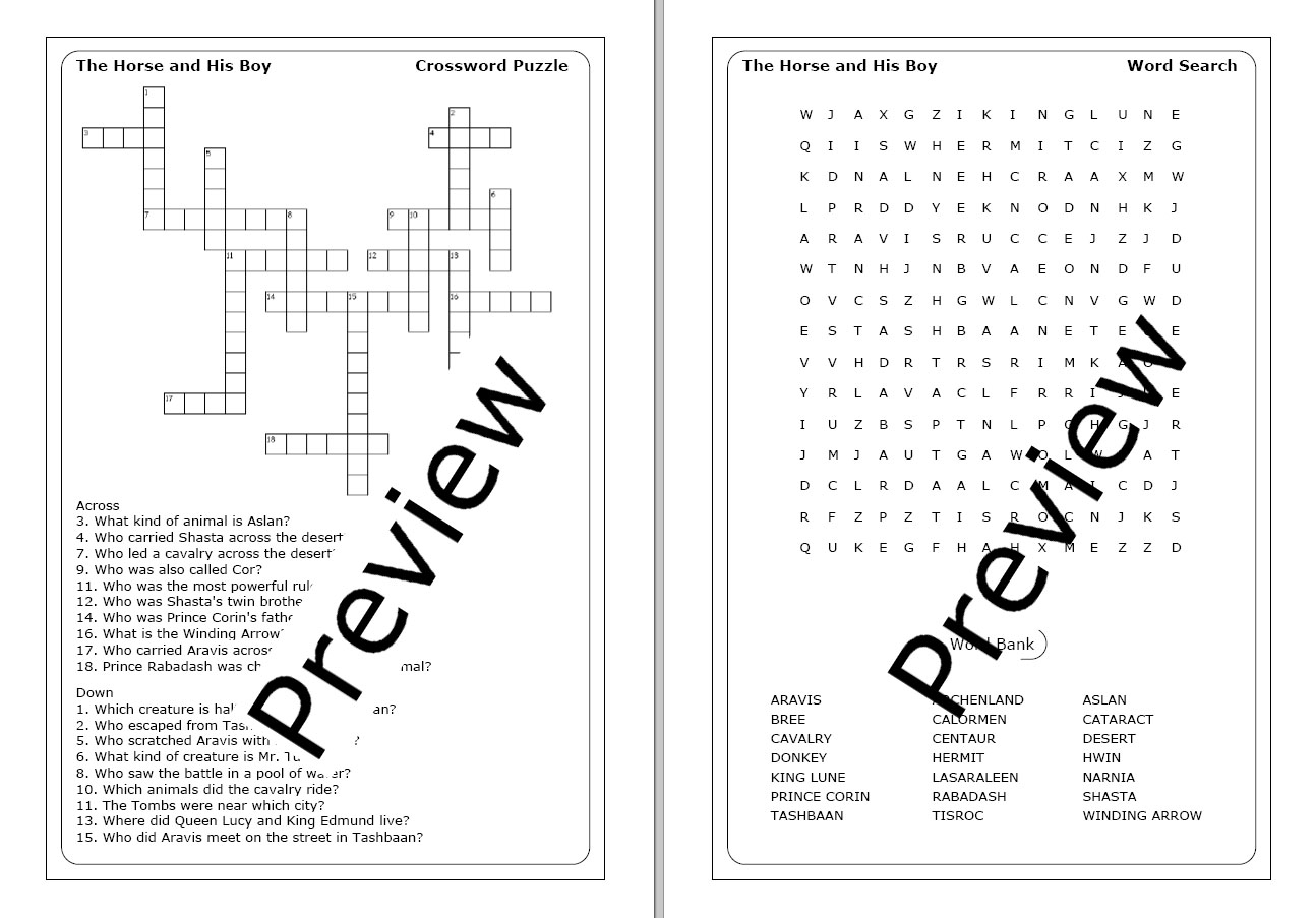 C S Lewis The Horse And His Boy Worksheets Made By Teachers