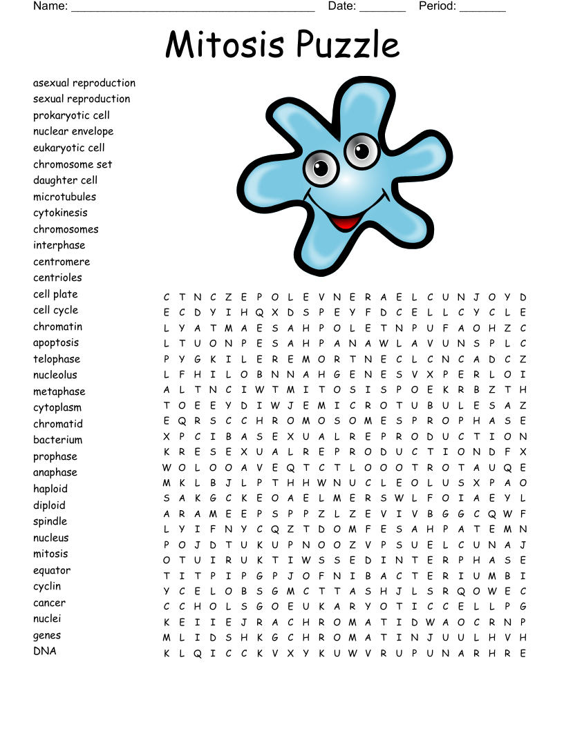 Cell Cycle Word Search WordMint
