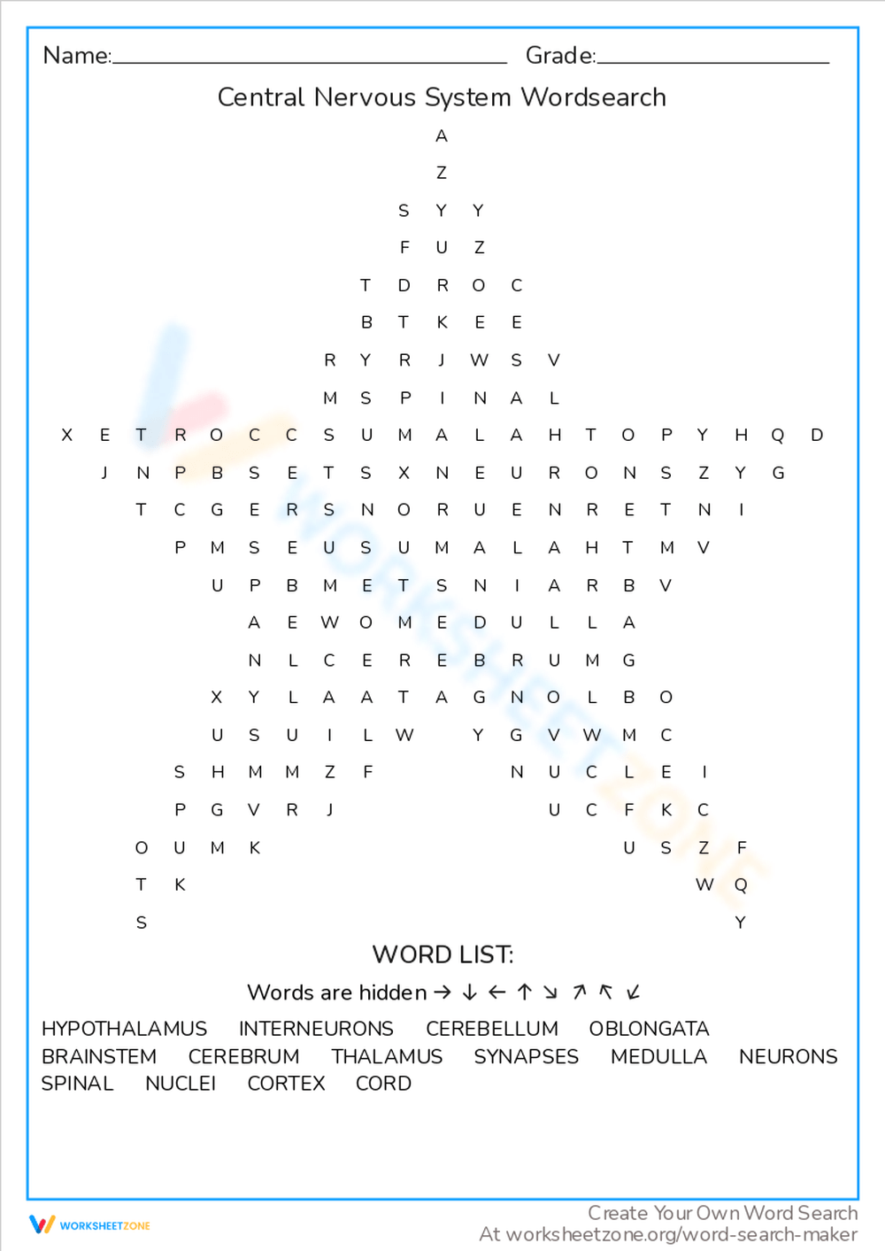 central nervous system word search worksheet