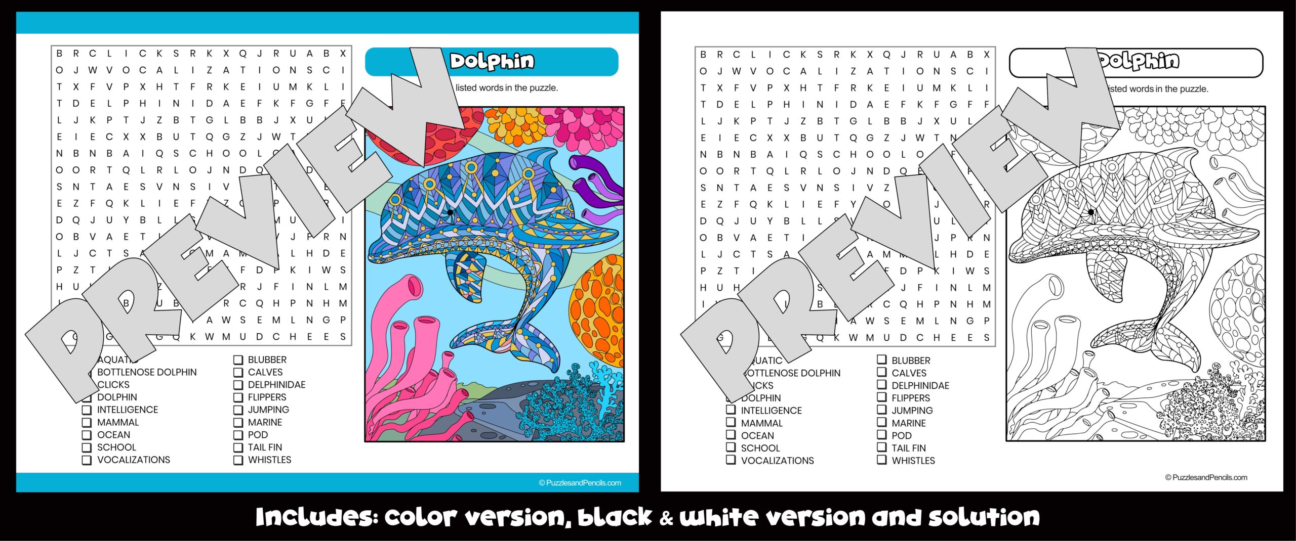 Dolphin Word Search Puzzle With Colouring Dolphin Awareness Month Wordsearch Teaching Resources
