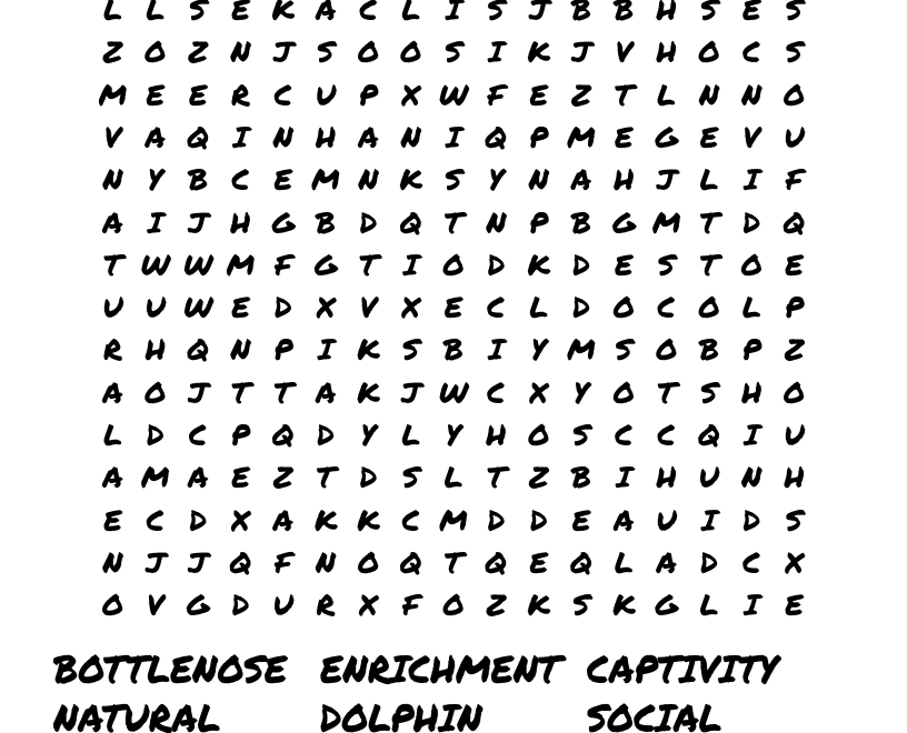 Dolphins Word Search WordMint
