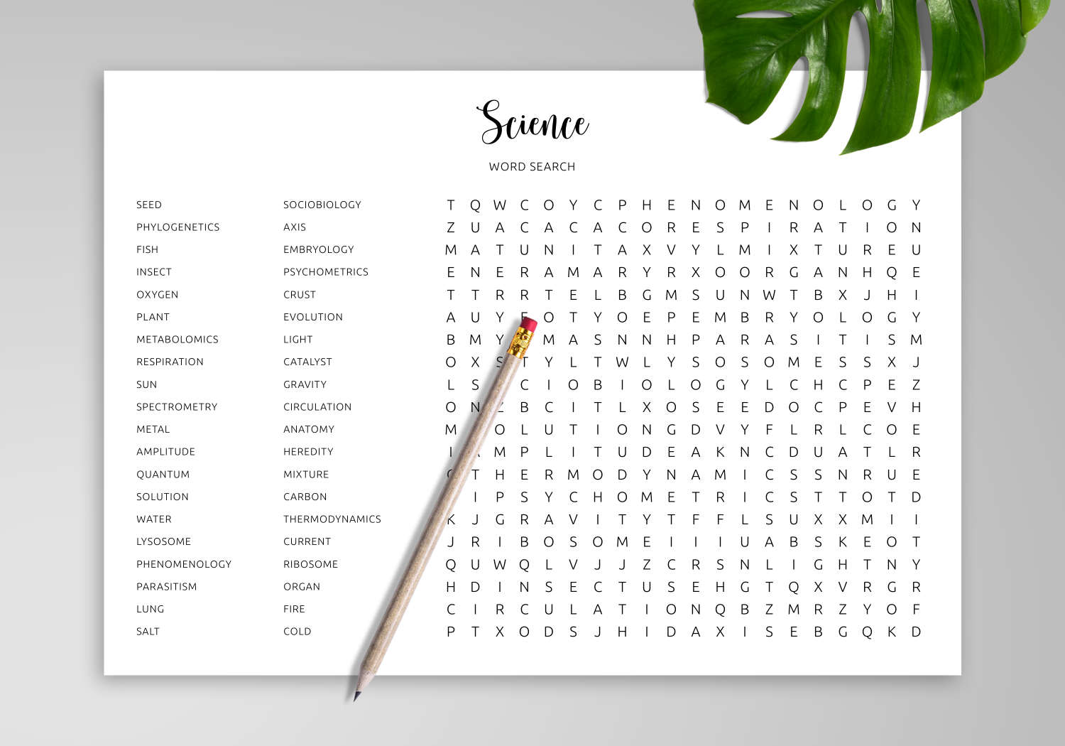 Download Science Word Search Printable In PDF Download Science Word Search Printable In PDF