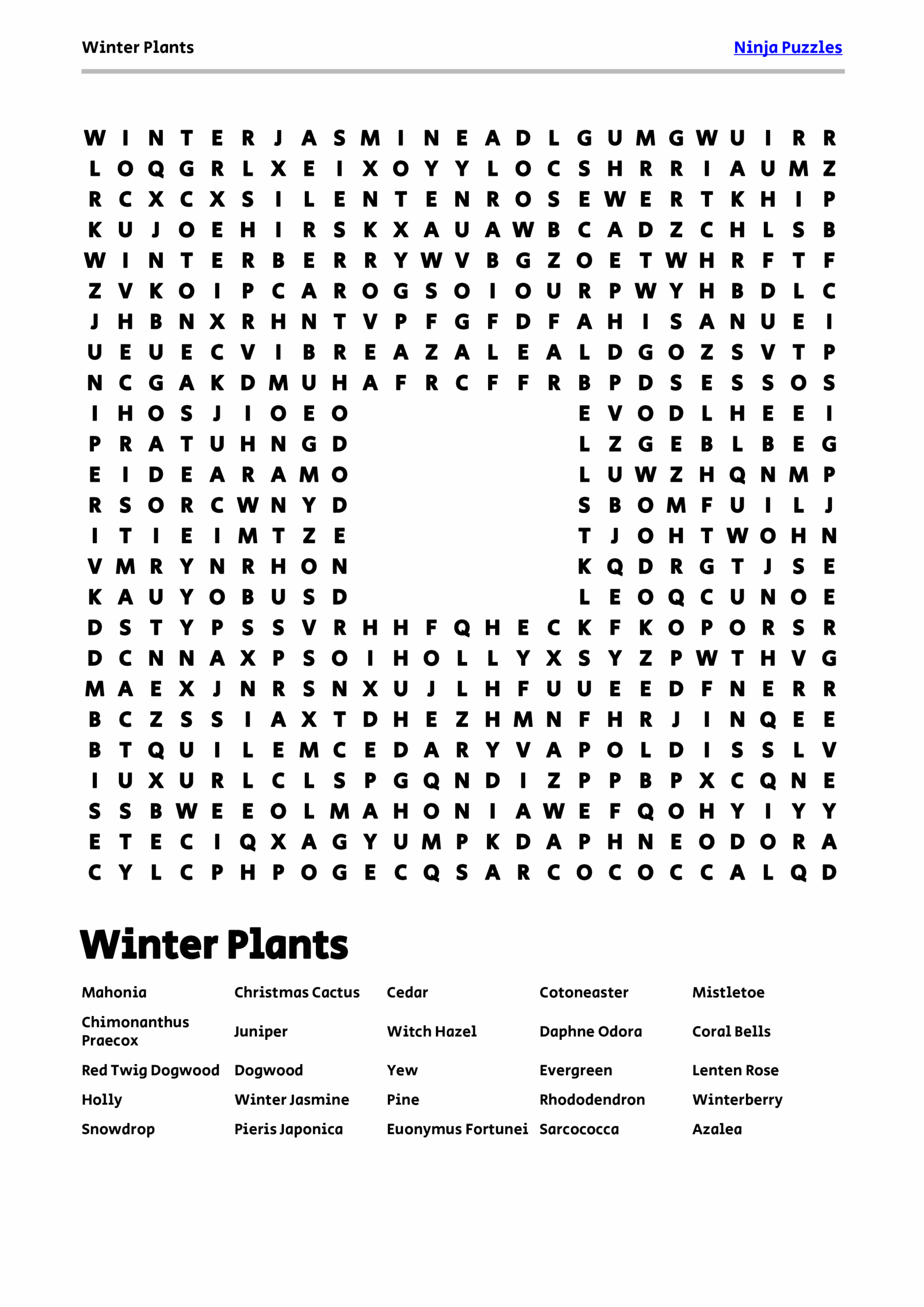 Download Winter Plants Word Search PDF