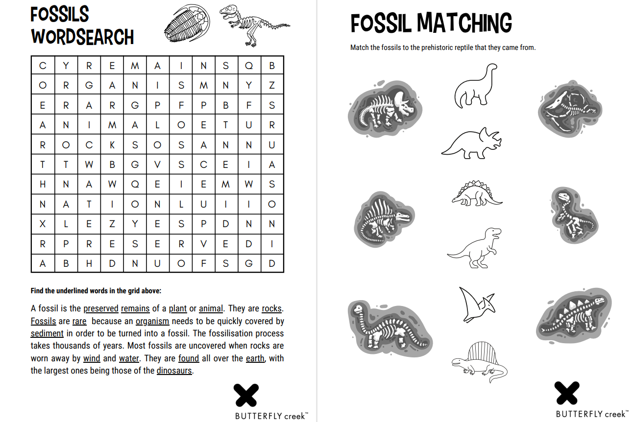 Printable Fossil Word Search
