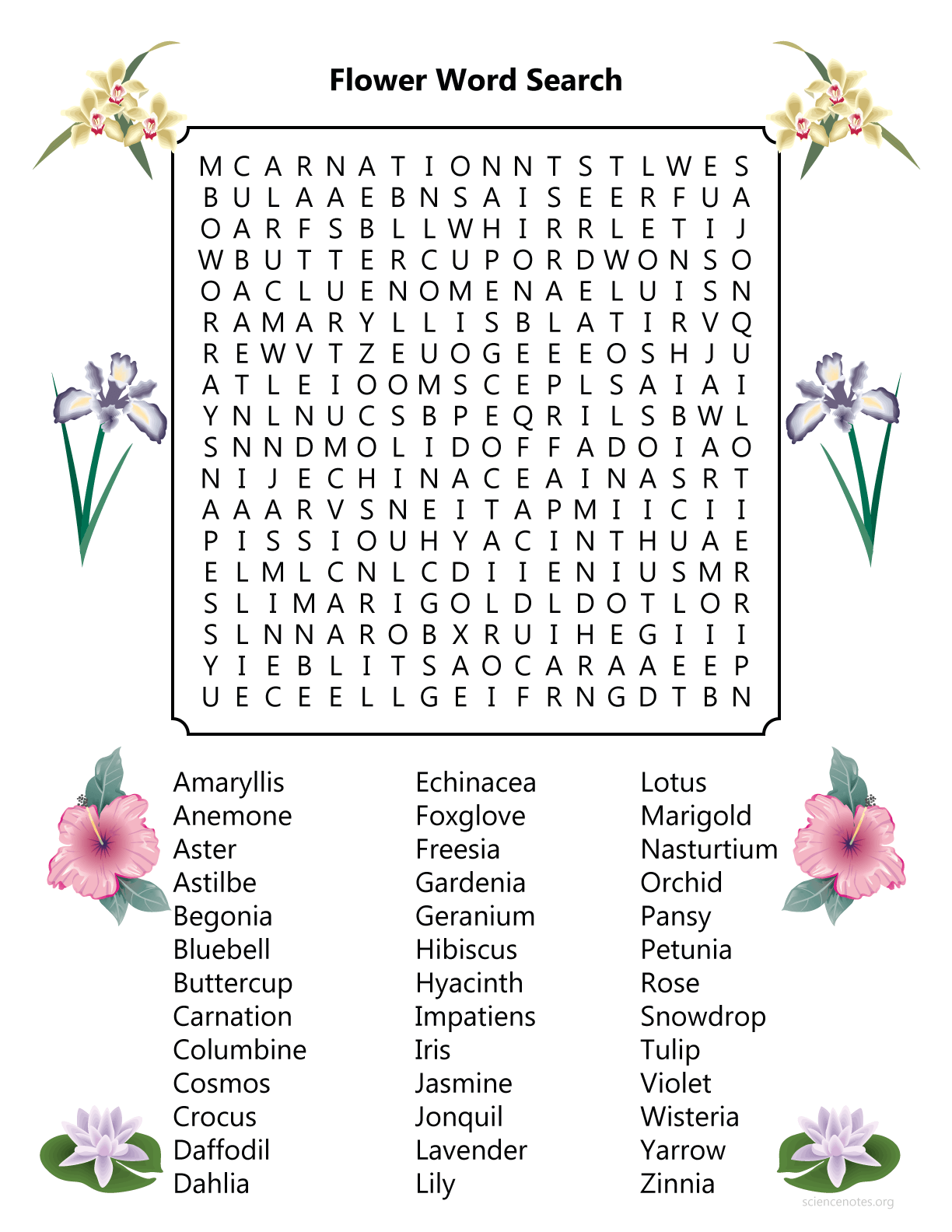 Plant Word Search Printable