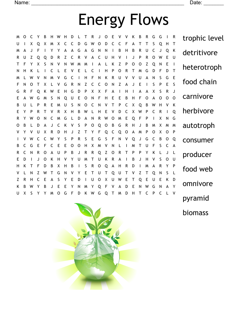 Food Chain Word Search WordMint