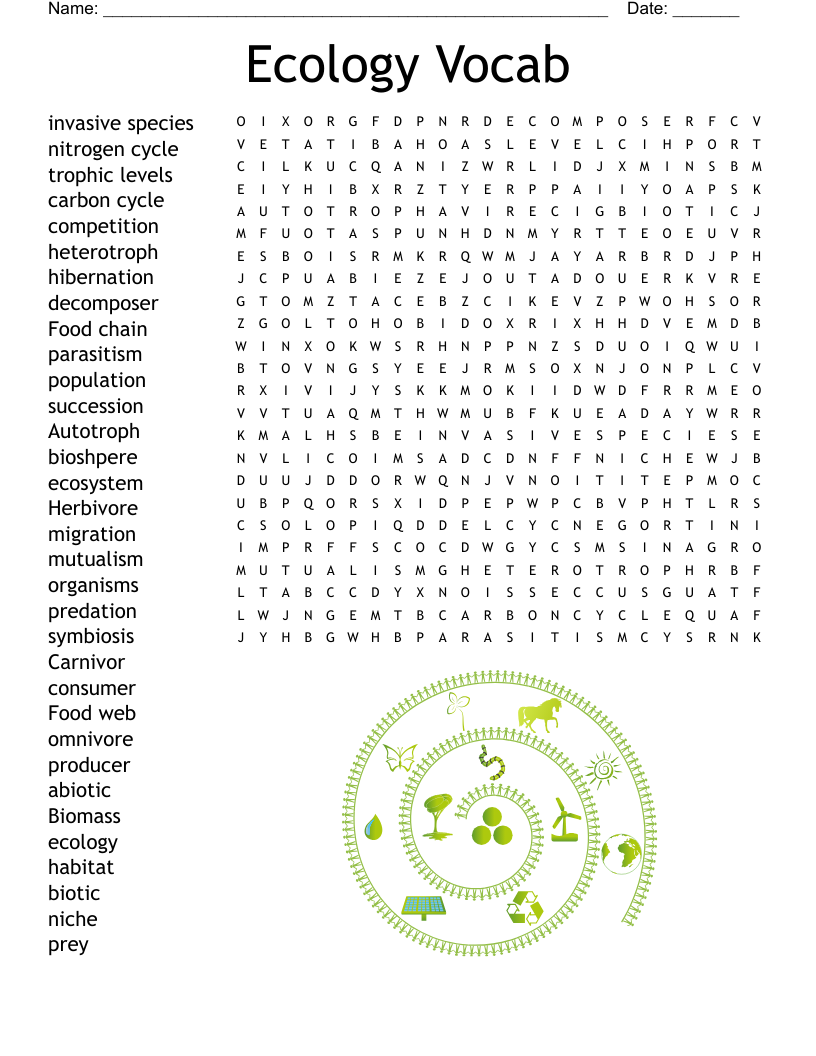 Food Chain Word Search WordMint