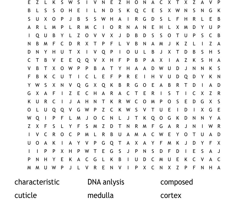 Forensics Hair Analysis Word Search WordMint