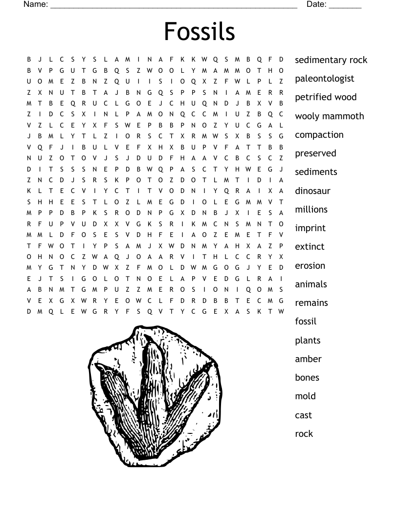 Fossils Word Search WordMint
