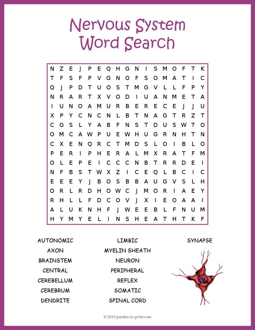Free Printable Word Search Puzzles For Adults Shop On Pinterest