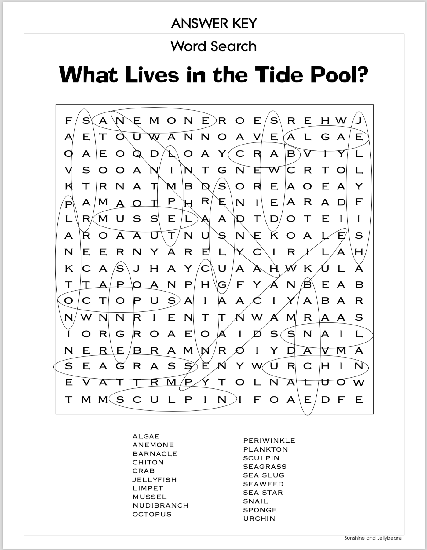 Freebie Word Search What Lives In The Tide Pool Grades 3 5 Made By Teachers