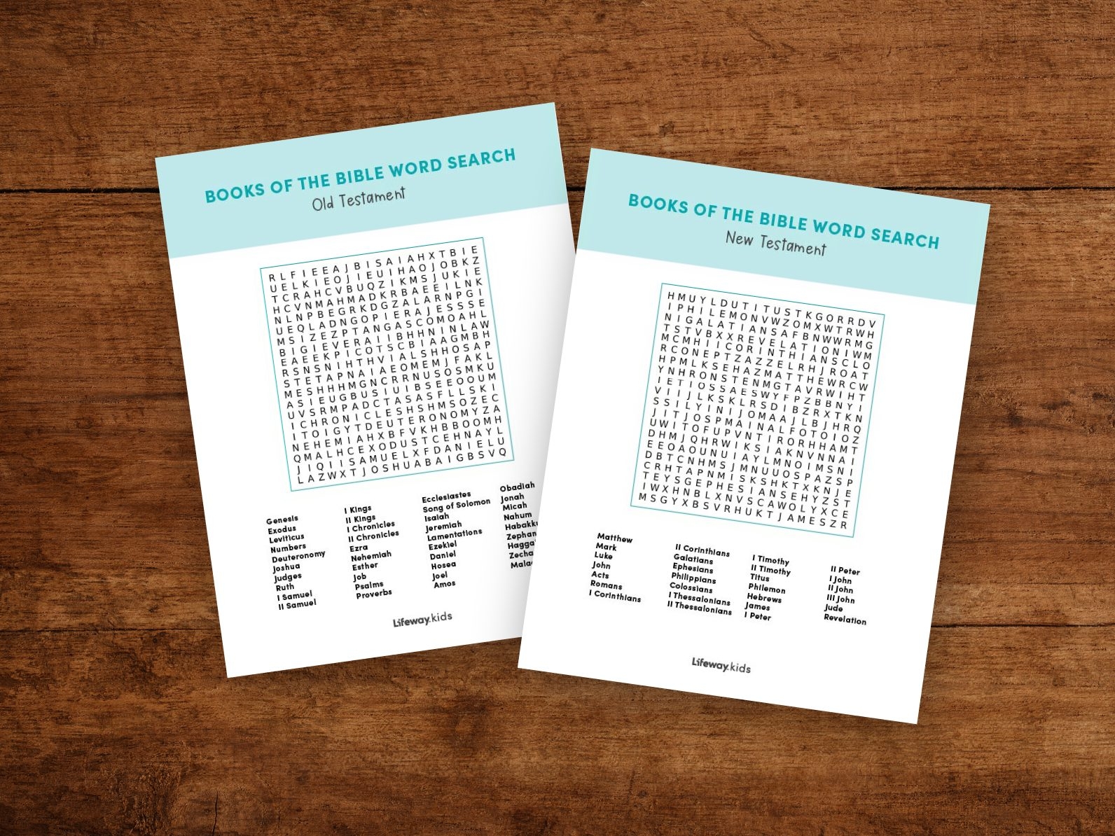 Books Of The Bible Printable Word Search