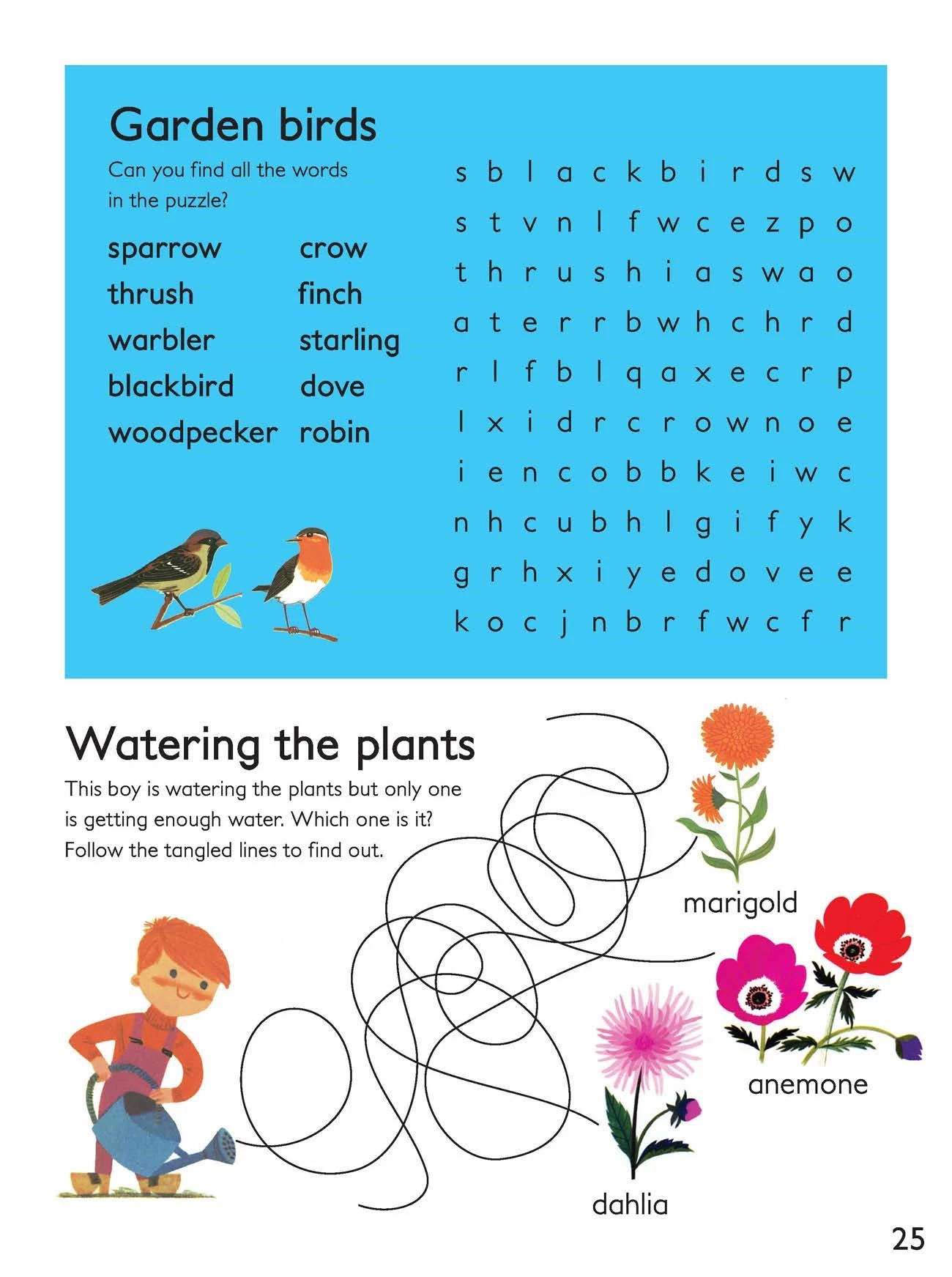 Garden Birds Word Search Activity Sheet Printables