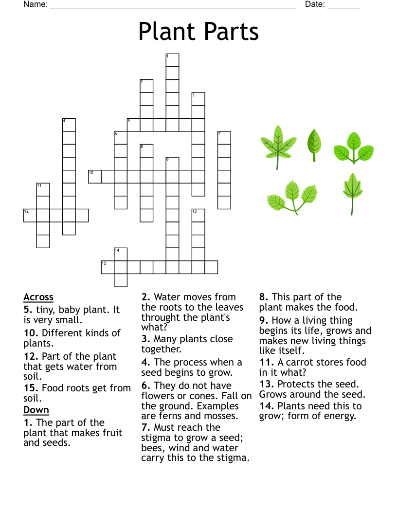 Gardening Landscaping Crosswords Word Searches Bingo Cards WordMint