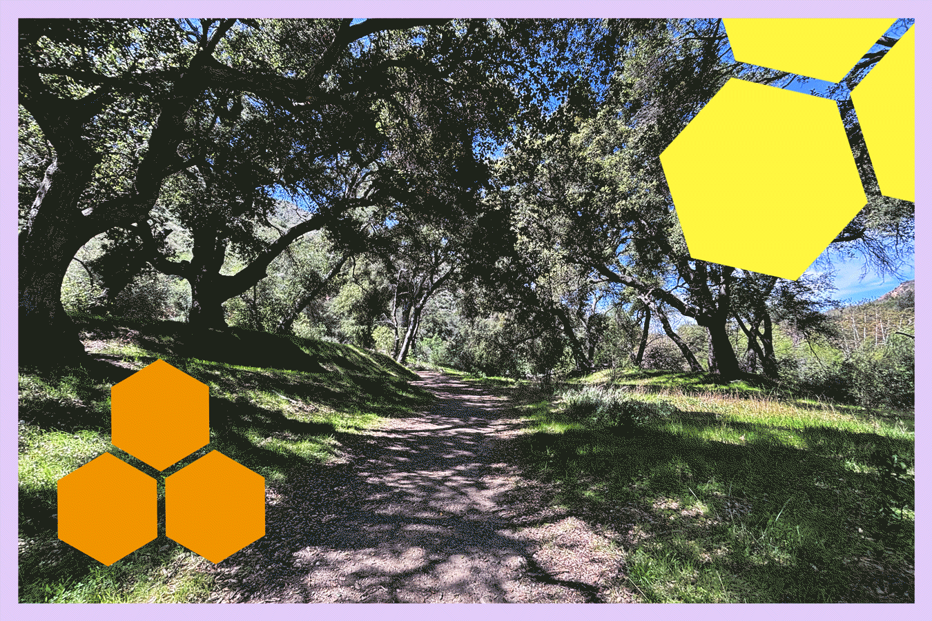 Here s How To Find The Shadiest Hikes Around Los Angeles Los Angeles Times