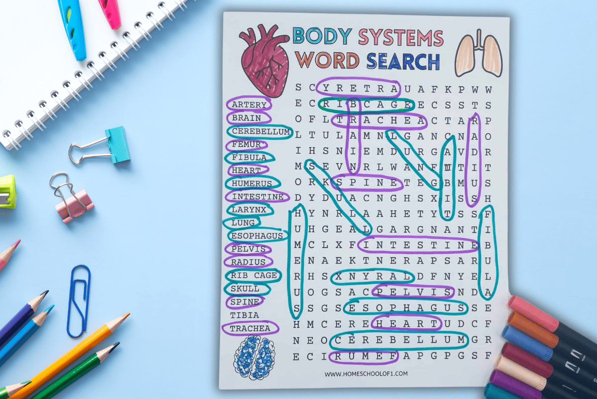 Human Body Systems Word Search Printable For Kids