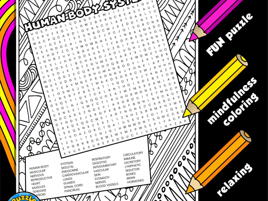 Human Body Systems Word Search Puzzle With Coloring Wordsearch Made By Teachers