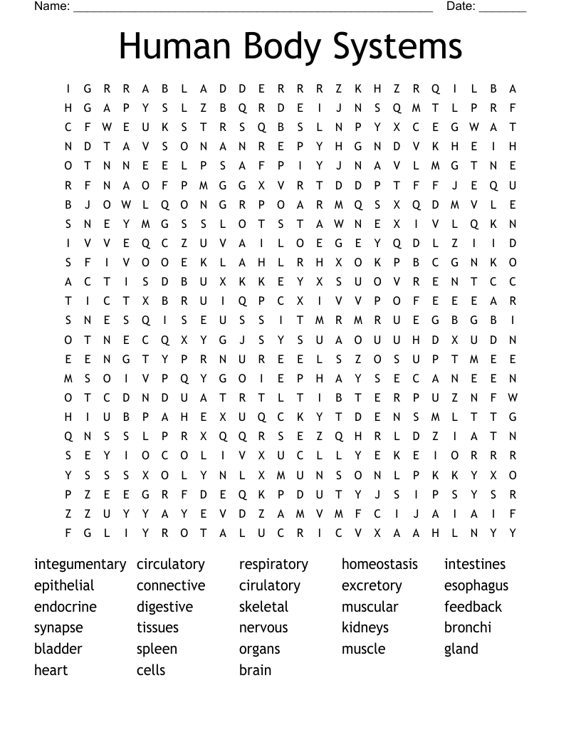 Human Body Systems Word Search WordMint