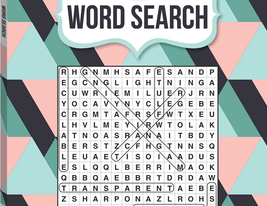 Large Print Puzzles Wordsearch Series 4 Puzzle Books Books Adult Hinkler