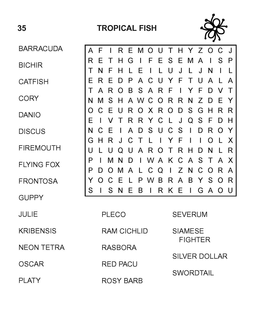 Large Print Wordsearch Book Dementia Pathfinders
