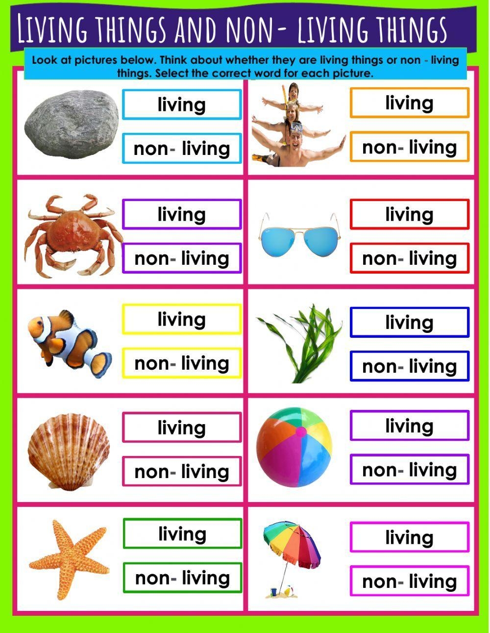Living Things And Non Living Things MsGallardo Worksheets Library