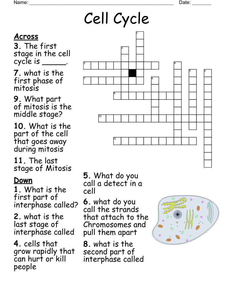 Cell Cycle Word Search Printable
