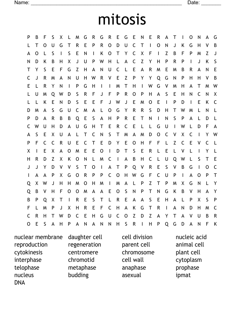 Mitosis Word Search WordMint