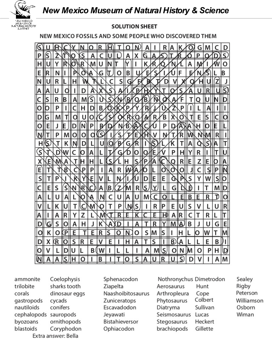 New Mexico Word Search Kids Printable