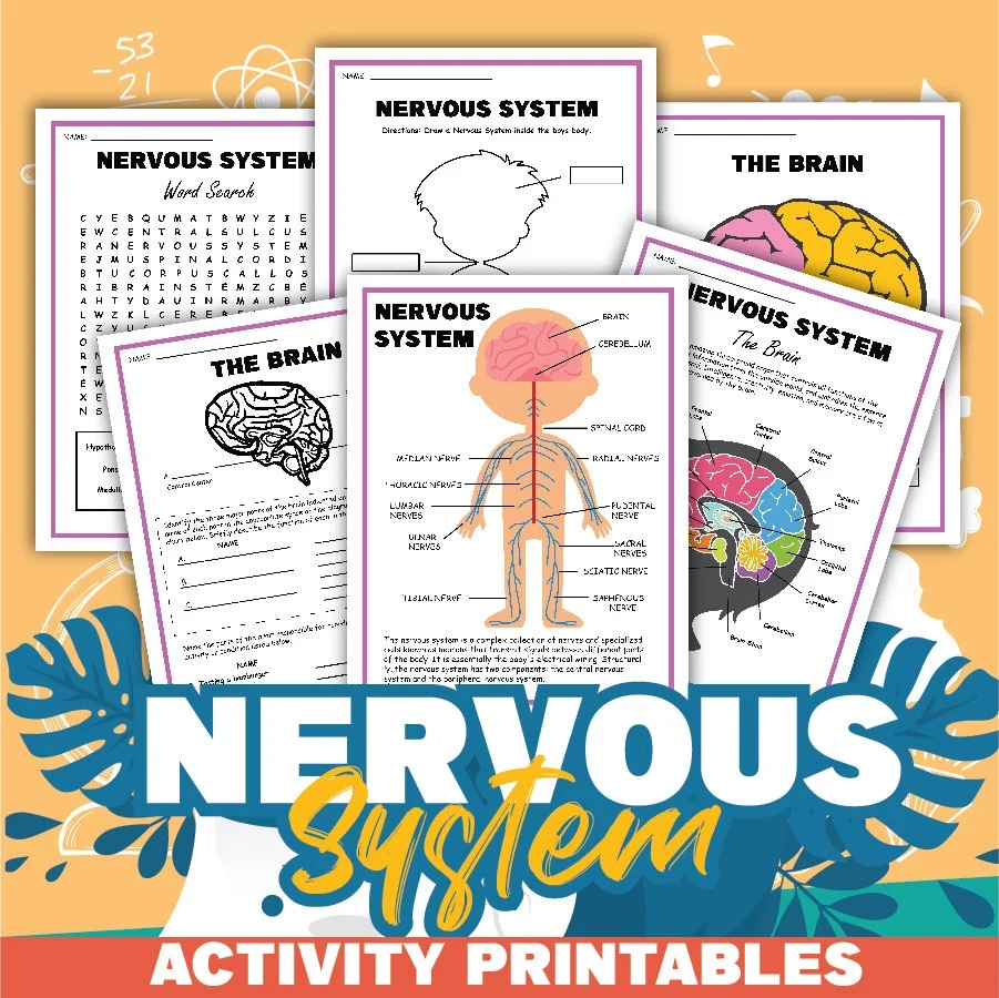 nervous system activity set etsy