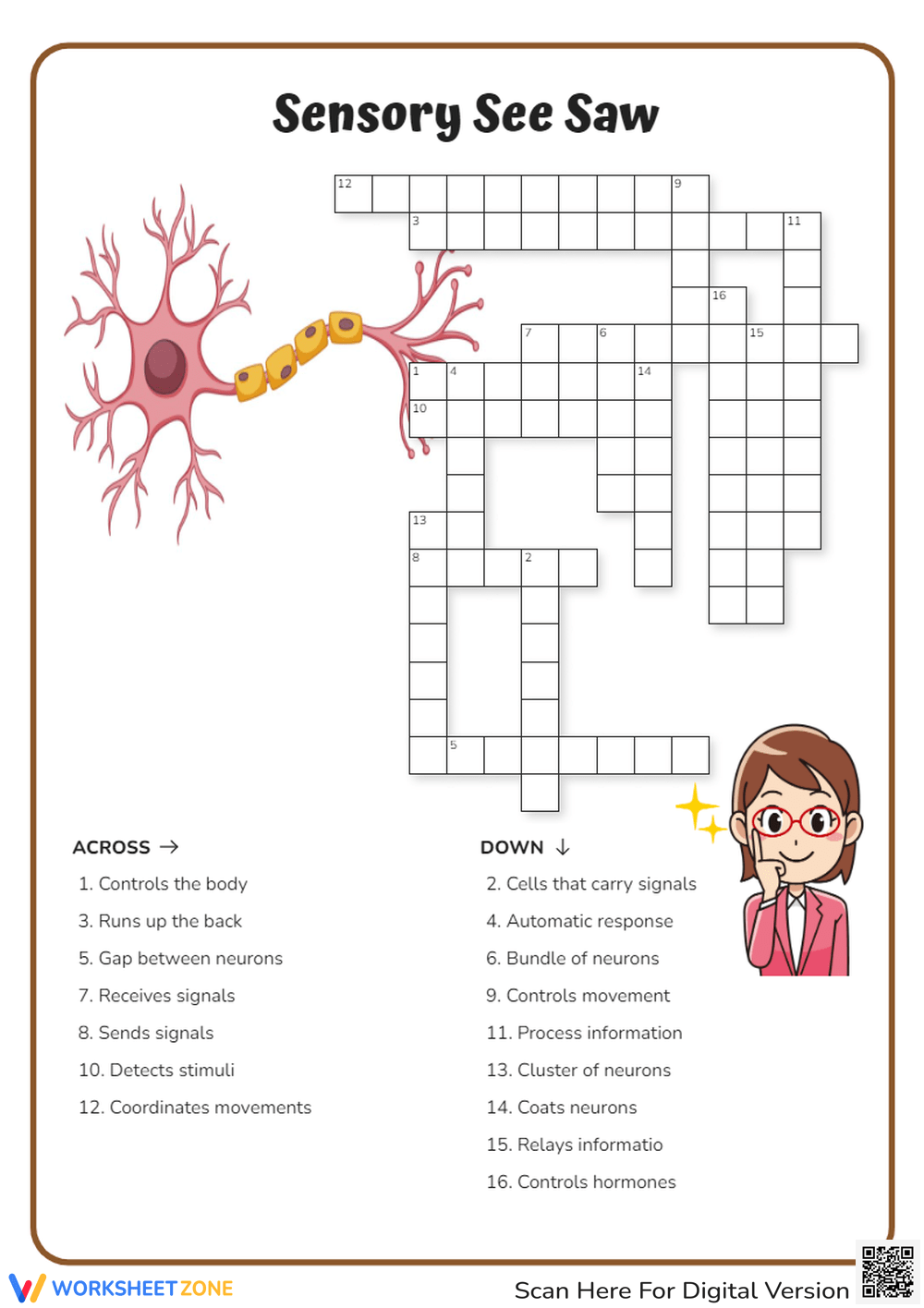 nervous system worksheets