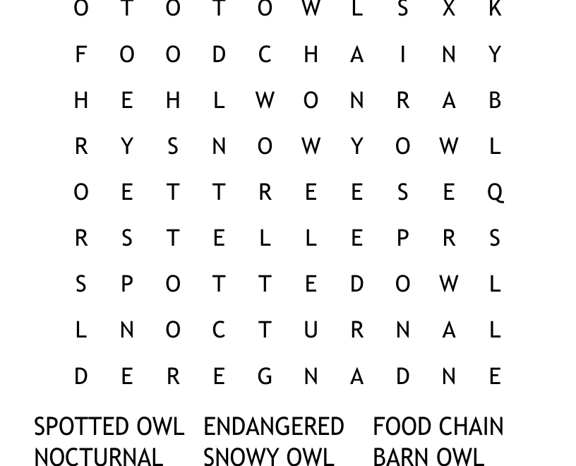 OWLS Word Search WordMint