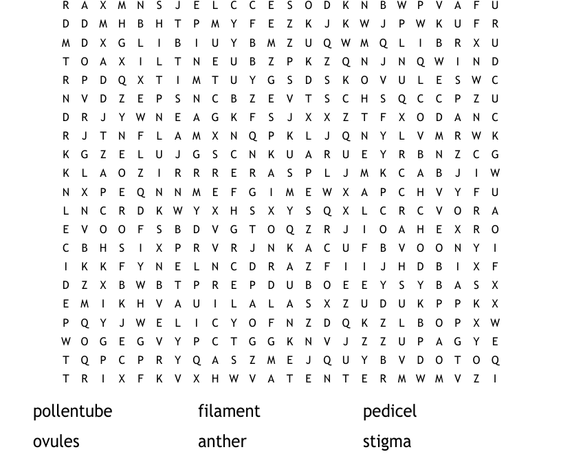 Parts Of A Flower Word Search WordMint