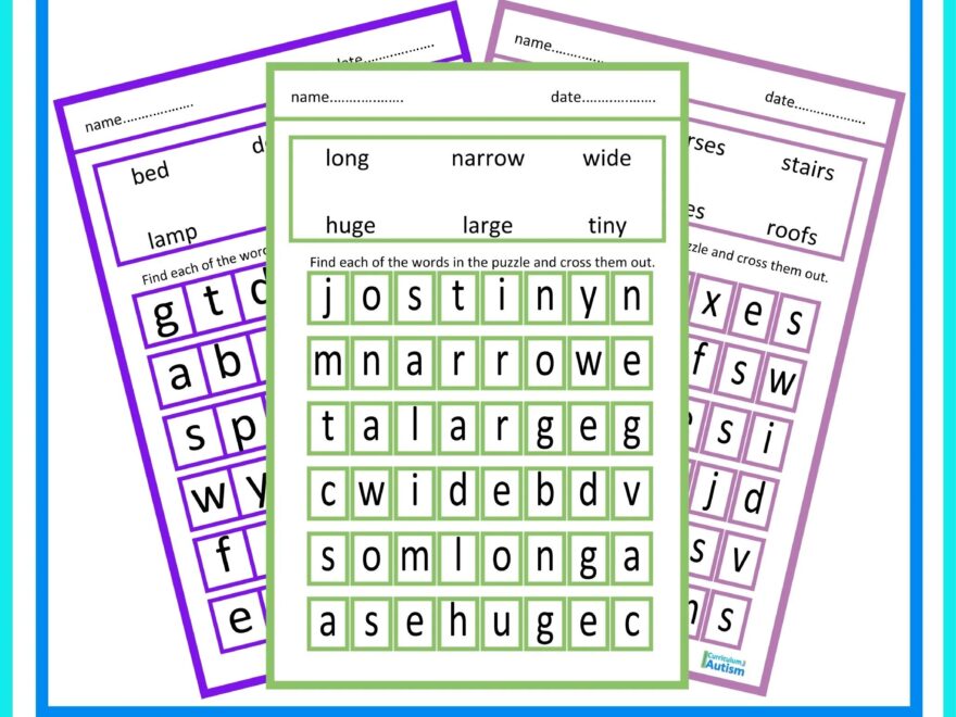 Phonics CVC CVCE CVCC Large Print Word Searches Autism Special Education Curriculum For Autism