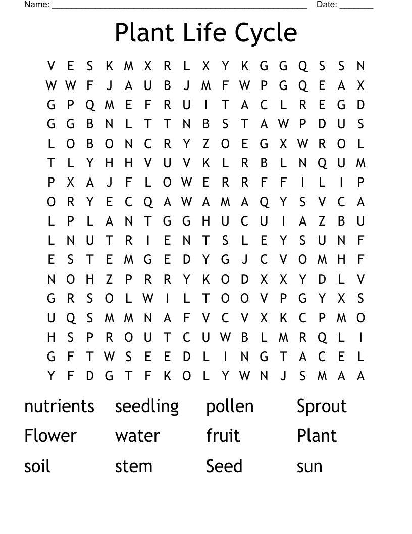 Plant Life Cycle Word Search WordMint