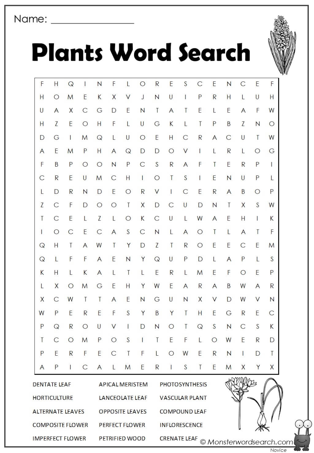 Plants Word Search Monster Word Search Worksheets Library