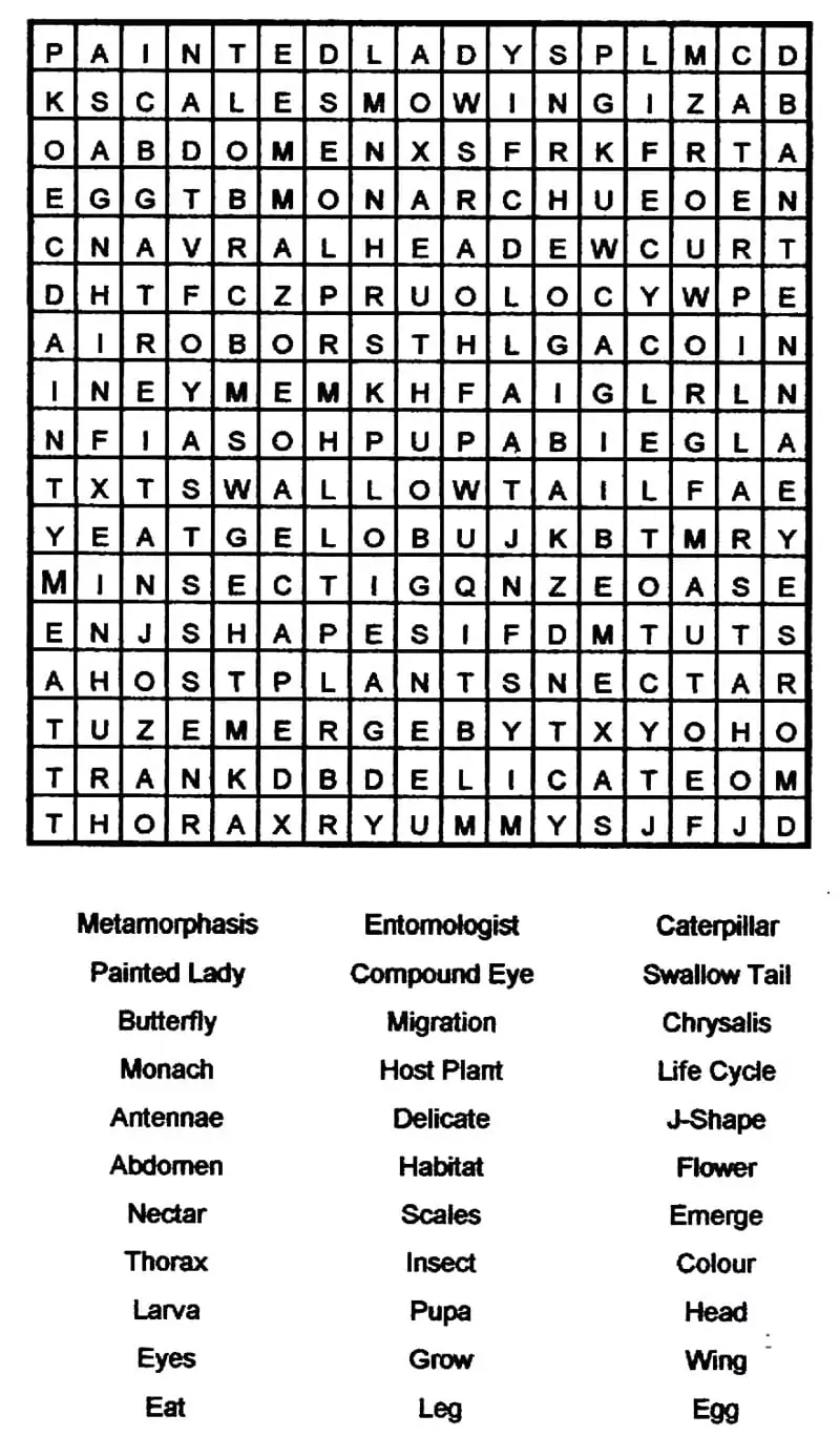 Printable Coloring Pages And Word Searches